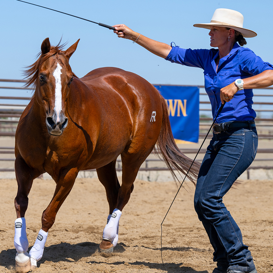 SQ-Heros_0007_bht_0003__Z9P1514