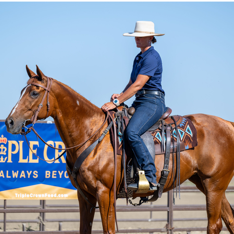 Sq-900-gallery_0002_Layer 21