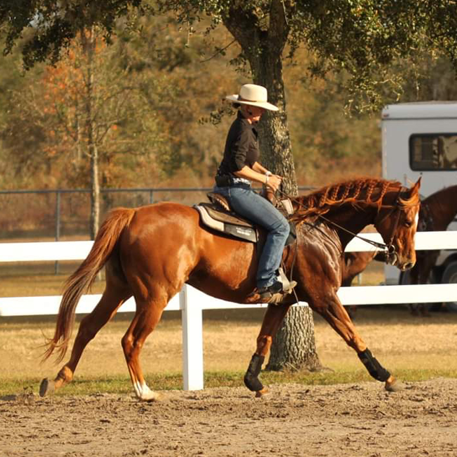 Sq-900-gallery_0003_Layer 20