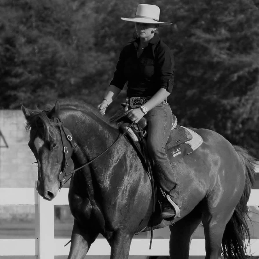 Sq-900-gallery_0004_Layer 19