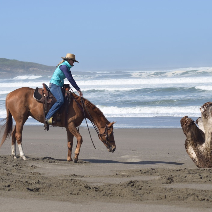 Sq-900-gallery_0005_Layer 18