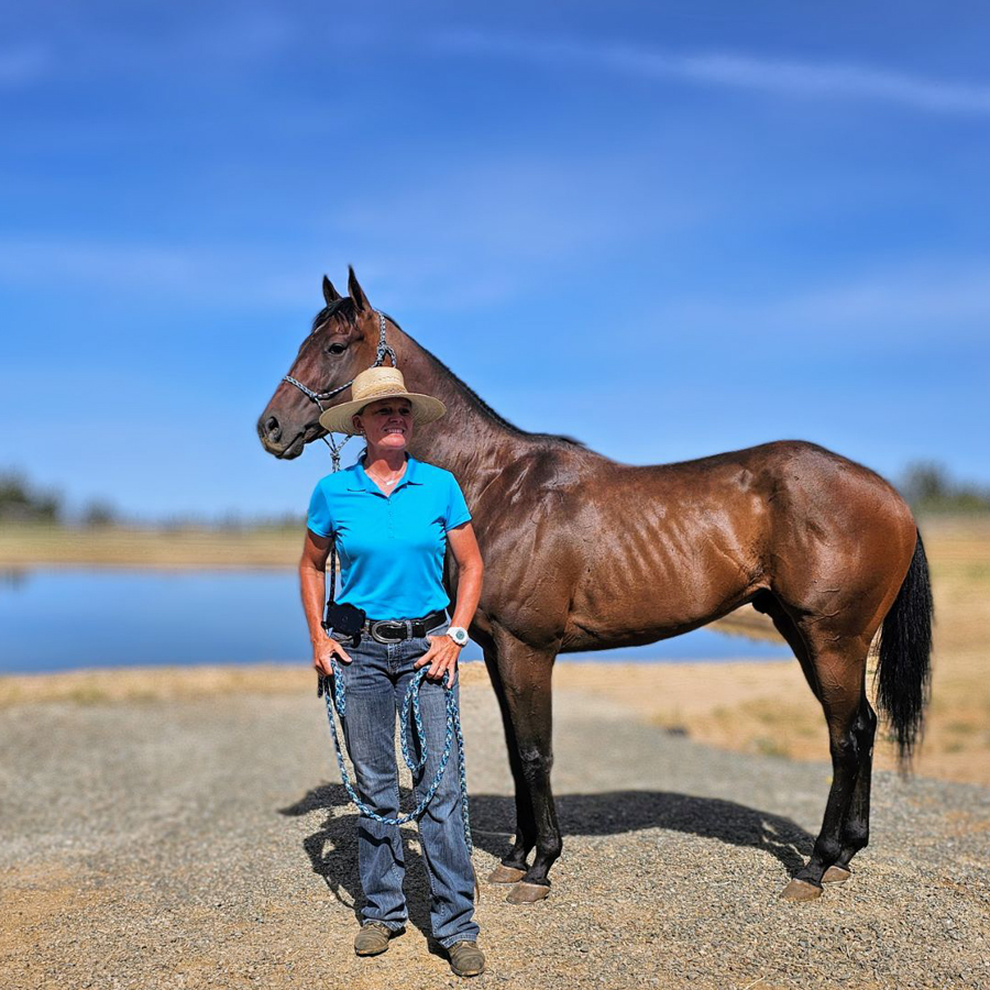 Sq-900-gallery_0006_Layer 17