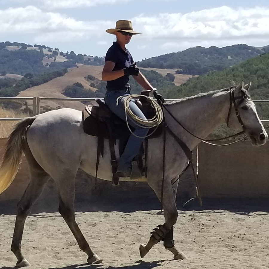 Sq-900-gallery_0007_Layer 16