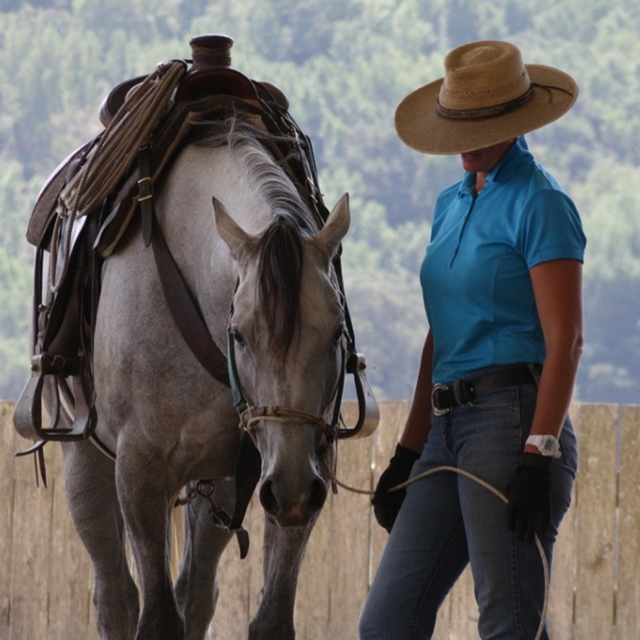 Sq-900-gallery_0008_Layer 15