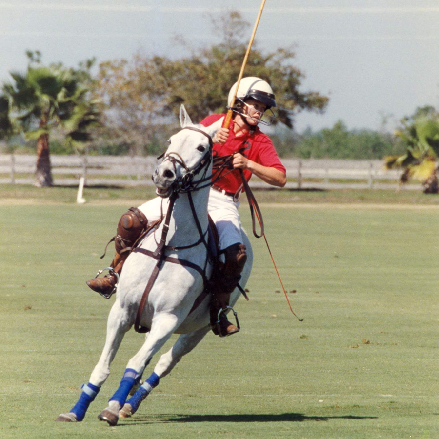 Sq-900-gallery_0009_Layer 14