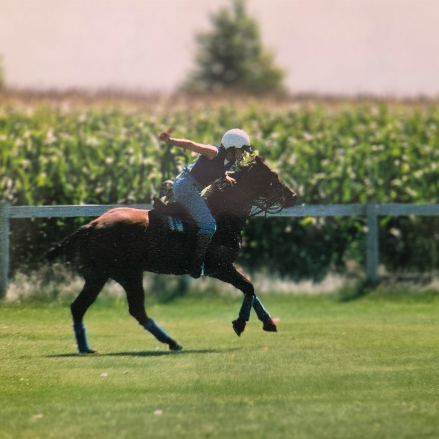 Sq-900-gallery_0010_Layer 13