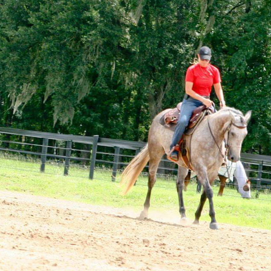 Sq-900-gallery_0012_Layer 11