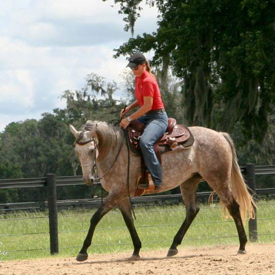 Sq-900-gallery_0013_Layer 10