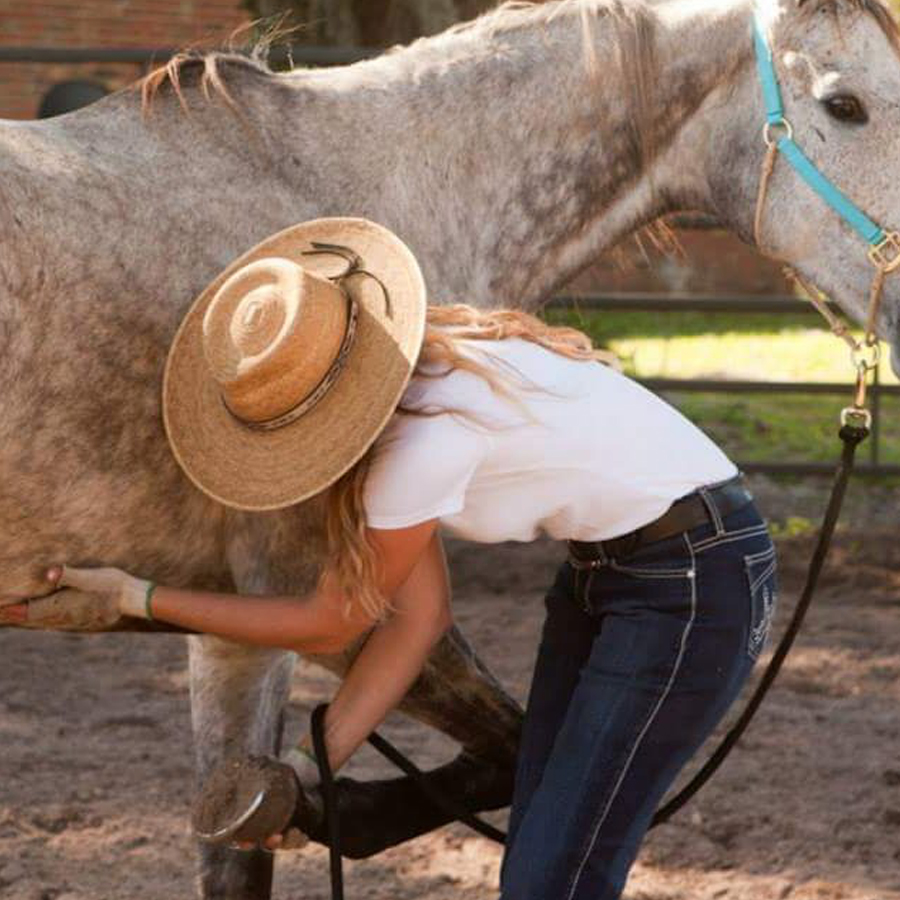 Sq-900-gallery_0014_Layer 9