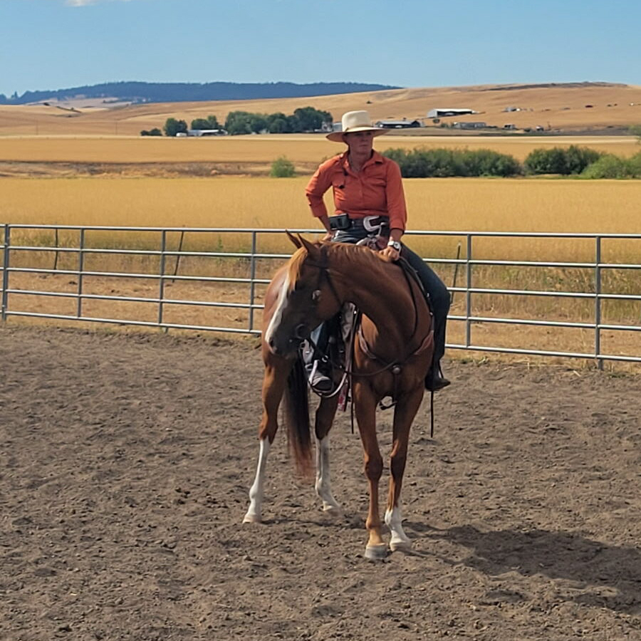 Sq-900-gallery_0015_Layer 8