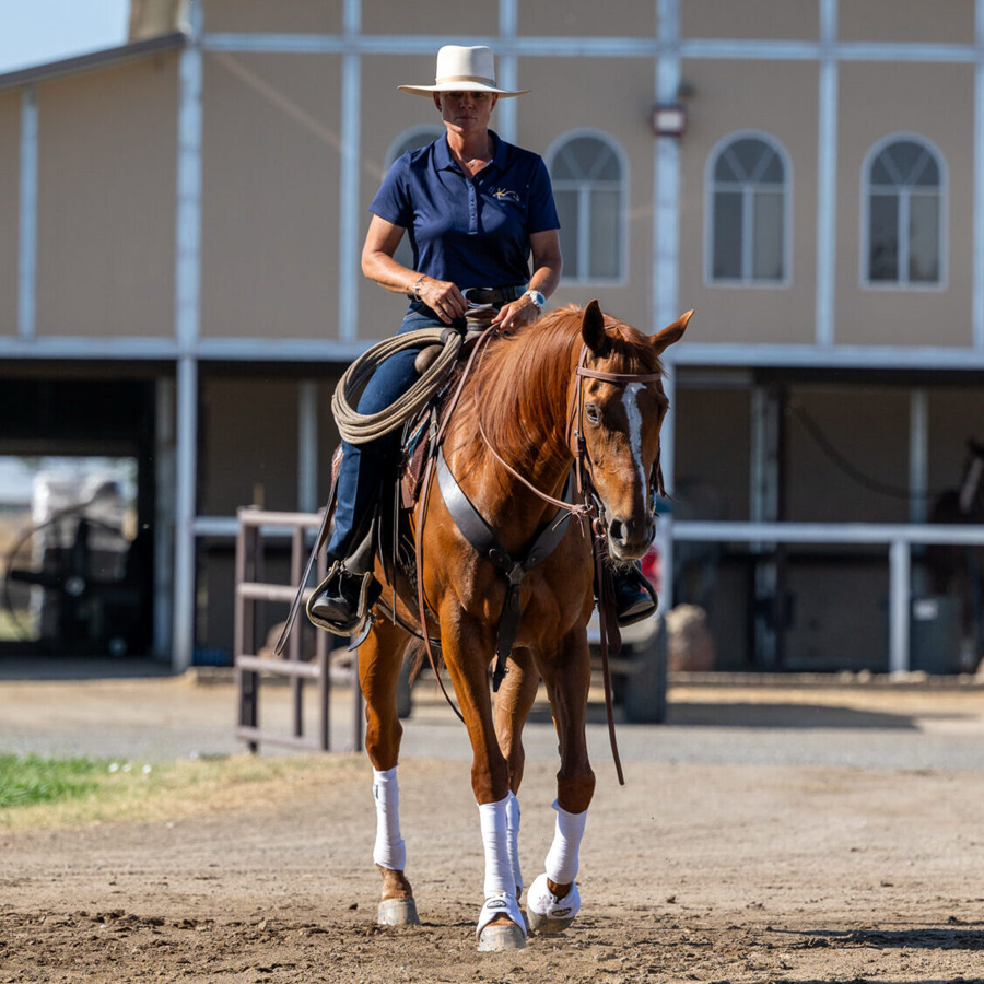 Sq-900-gallery_0016_Layer 7