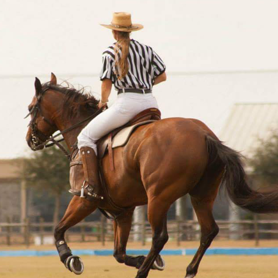 Sq-900-gallery_0017_Layer 6