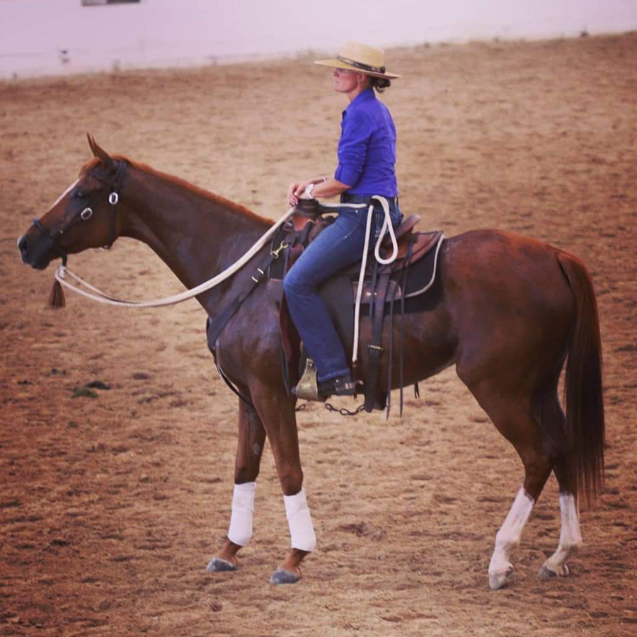 Sq-900-gallery_0018_Layer 5