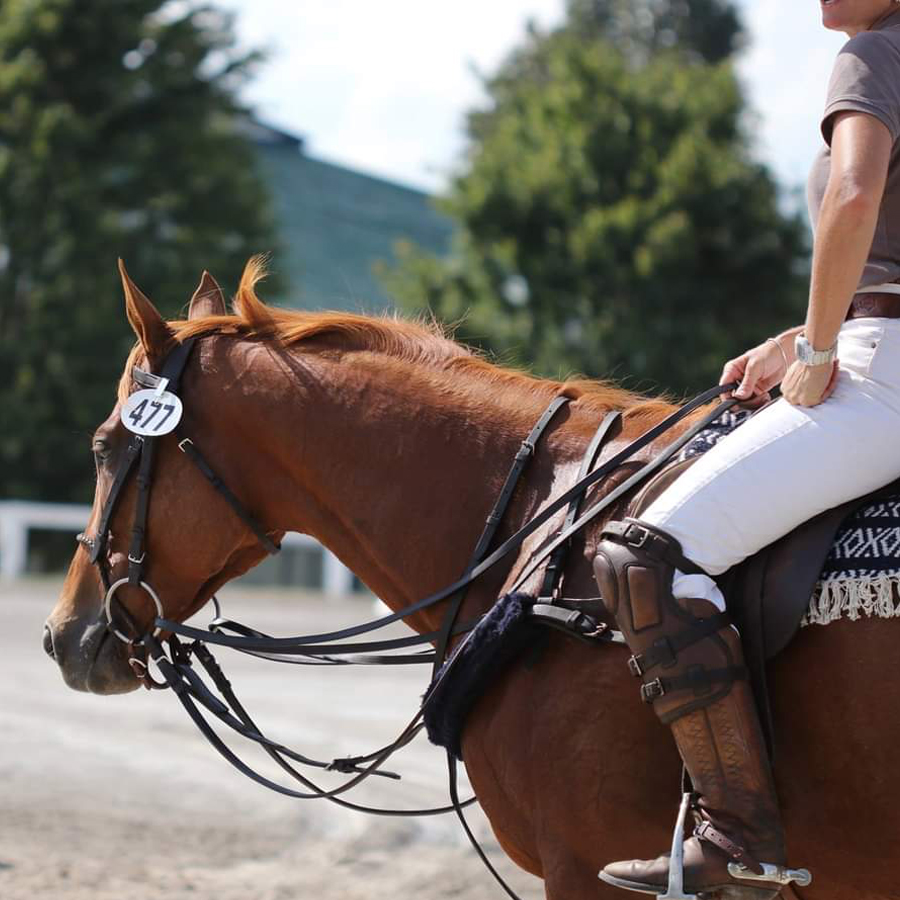 Sq-900-gallery_0019_Layer 4