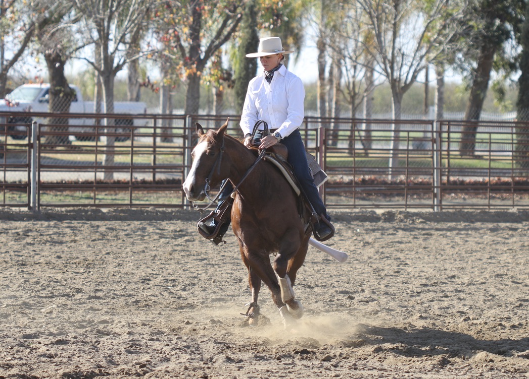 8B2337D9-742F-4326-A710-CFF8A30EE591_1_105_c